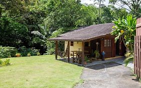 Cachoeira Privativa + Termas a 8min – Relax Total - Retiro Águas Encantadas